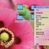 相见恨晚的Mac技巧（二）