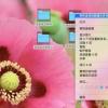 Mac小技巧（手把手那种，敲黑板！）