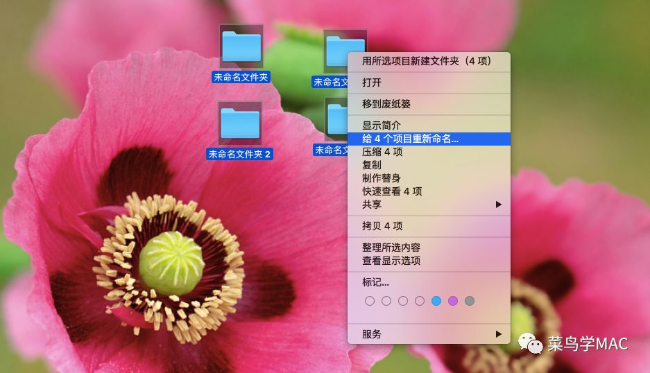 相见恨晚的Mac技巧（二）