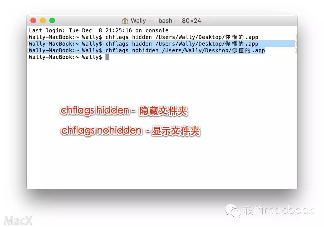 小技巧: Mac上保存文件那点事儿, 隐藏文件与文件夹, 文 ...