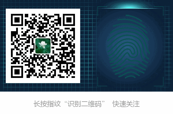 让你相见恨晚的 Mac Book 技巧