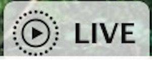 技巧-184期：在Mac信息应用中查看Live Photos