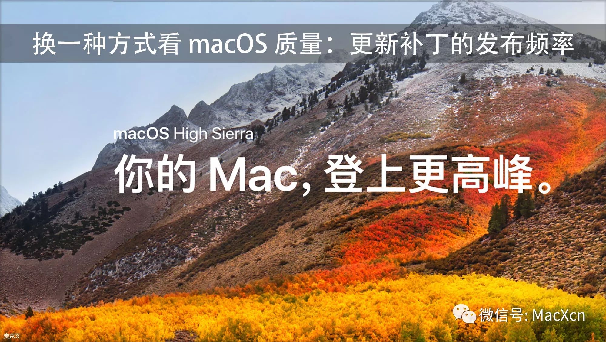 换一种方式看 macOS 质量：更新补丁的发布频率