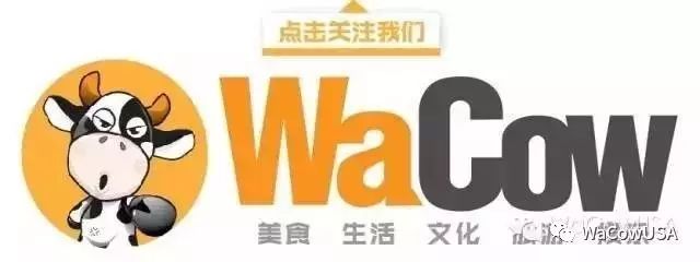 Mac恶意软体”果蝇”重出江湖!Mac 用户注意不要中镖! (内有简单防治方法!)