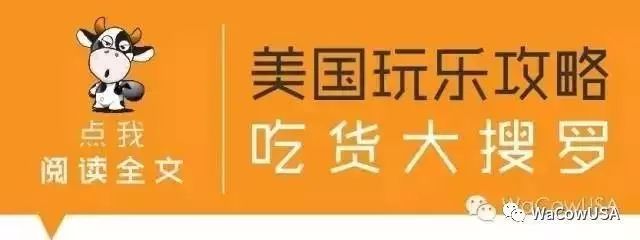 Mac恶意软体”果蝇”重出江湖!Mac 用户注意不要中镖! (内有简单防治方法!)