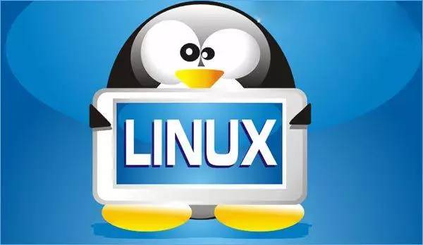 Linux 上的 5 大数据可视化工具，你会用吗？